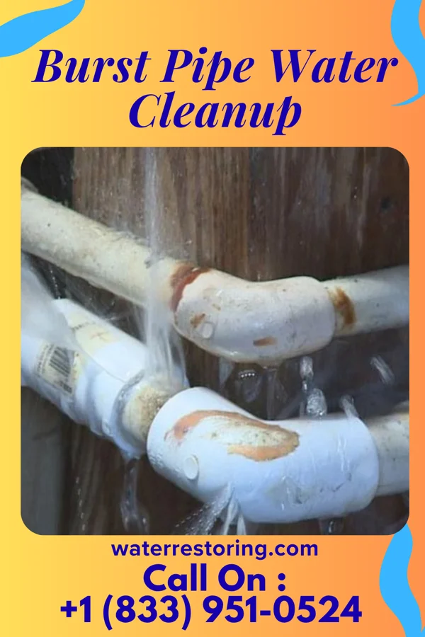 Burst Pipe Water Cleanup in Salladasburg, PA