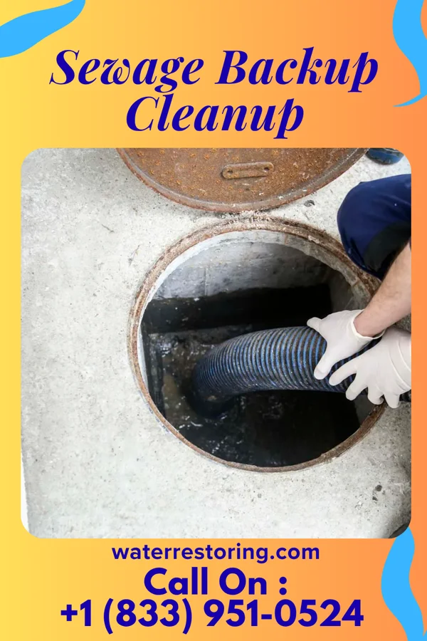 Sewage Backup Cleanup in Salladasburg, PA